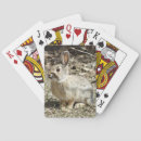 Search for rabbit playing cards Bunnies