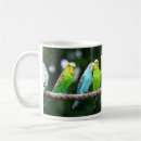 Search for budgie mugs Pets