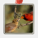 Search for northern christmas tree decorations Red
