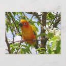 Search for accessorie postcards Fun