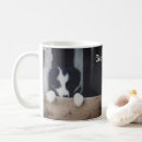 Search for border collie puppy mugs Dog