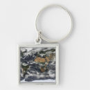 Search for map of australia key rings Antarctica
