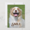 Search for funny dog postcards Smiling