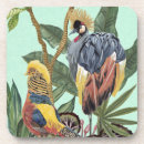 Search for large coasters Tropical