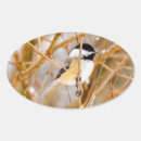 Search for black capped chickadee stickers Bird
