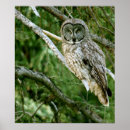 Search for cool birds art Animals