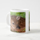 Search for habitat mugs Animal