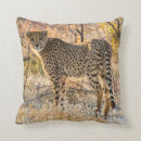 Search for cheetah cushions Wild animal