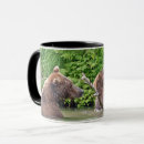 Search for bear cubs mugs Grizzly