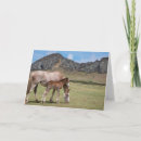 Search for cindy cards Ranch