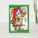 Search for shelter christmas cards Pets