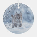 Search for wilderness christmas tree decorations Nature