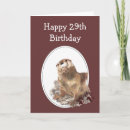 Search for otter birthday cards Cute