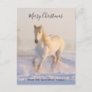 Search for horse farm christmas cards Winter