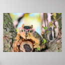Search for wildlife photography posters Retro