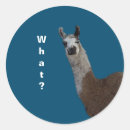 Search for spitting stickers Llama
