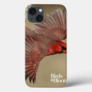 Search for cardinal cases Red bird