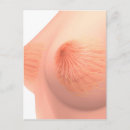 Search for four dimensional Close up