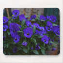 Search for violas mousepads Pansies