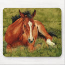 Search for rest mousepads Horse