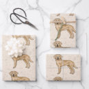 Search for yellow lab wrapping paper Cute