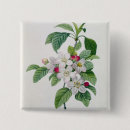 Search for redoute badges Coloured