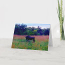 Search for antelopes cards Gnu