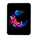 Search for backgrounds magnets Black
