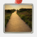 Search for virginia beach christmas tree decorations Sea