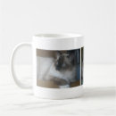 Search for himalayan cat mugs Ragdoll