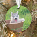 Search for alaskan malamute christmas tree decorations Snow dog