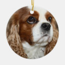 Search for cavalier king charles spaniel christmas tree decorations Pet