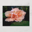 Search for lily pad postcards Tropical