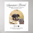 Search for signature drink signs Modern calligraphy