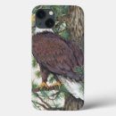 Search for bald eagle cases Animals