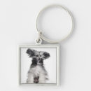 Search for months key rings Studio shot