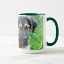 Search for german shepherd puppy mugs Grass