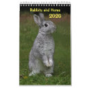 Search for rabbit calendars Bunnies