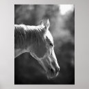 Search for horse pop art Horses