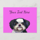 Search for shih postcards Cute