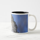 Search for avian mugs Owl