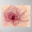 Search for cosmo posters Petals