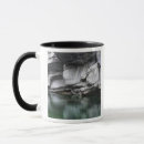 Search for river rock mugs Landscape