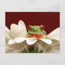 Search for tree red postcards Exotic
