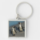 Search for penguin photo key rings Nature