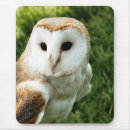 Search for barn owl mousepads Owls