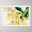 Search for oncidium Flower