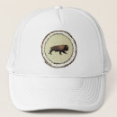 Search for bison hats Yellowstone