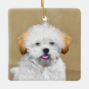 Search for lhasa apso christmas tree decorations Cute