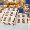 Search for ivory wrapping paper Picture